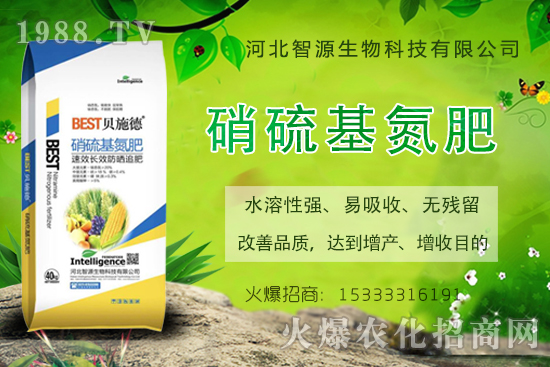 �ӱ���Դ�ٶȔy��1988.TV���y�ֹ���(chu��ng)��(zh��n)��(j��)��