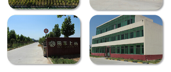 高鉀型水溶肥14-7-39-聚無霸-田豐_08