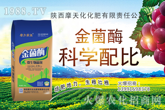 種一畝蘋果的成本是多少，有多少利潤？蘋果種植技術與管理！