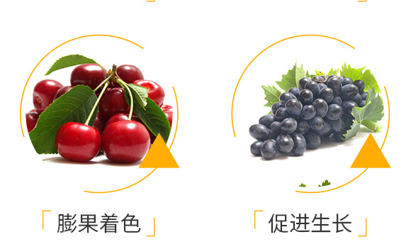 高鉀型水溶肥14-7-39-聚無霸-田豐_06