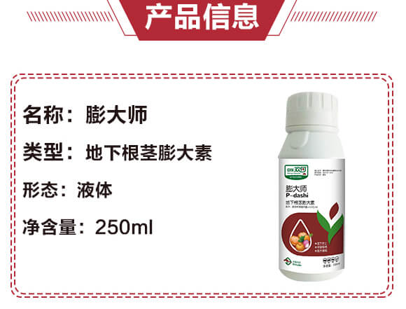 地下根莖膨大素-膨大師-中瑞歡田-中瑞利農_04