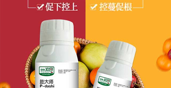 地下根莖膨大素-膨大師-中瑞歡田-中瑞利農_02