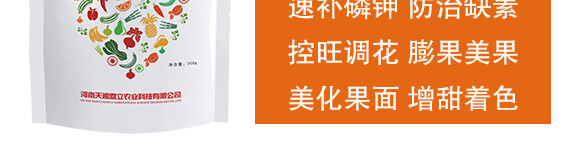 鼎豐賦能-天賜鼎立_04