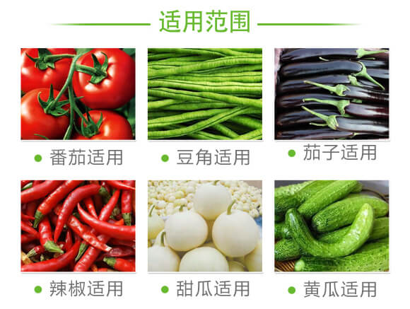 蚜虱片-茄果通用（西紅柿、茄子、黃瓜、辣椒、甜西瓜等）_07