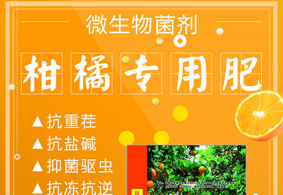 ���ٌ���΢�������-���r(n��ng)_01