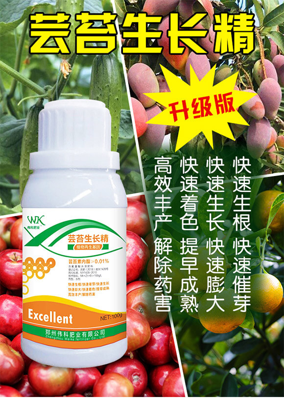 蕓苔生長(zhǎng)精-偉科肥業(yè)_01