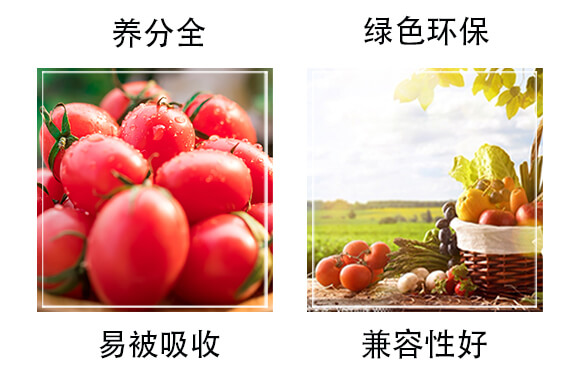 高塔水溶肥15-5-32-肥太子_05