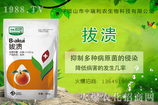 柑橘潰瘍病危害一年比一年嚴重,柑橘潰瘍病如何防控?