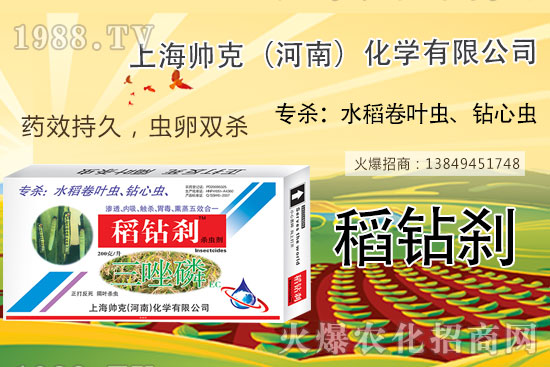     水稻鉆心蟲不好打？那是你沒用它！水稻鉆心蟲選對藥，防治不用愁！