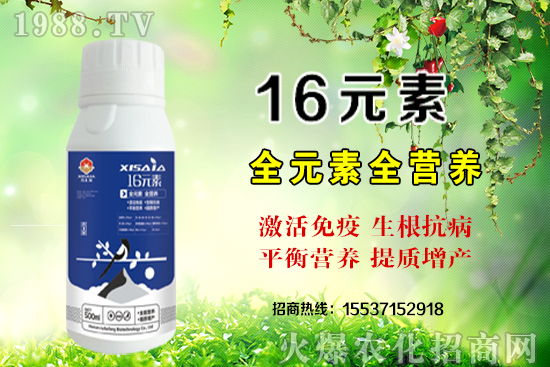 復(fù)合肥價格