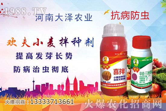 小麥拌種真有那么重要嗎，如何給小麥拌種更好？農(nóng)民要搞懂！