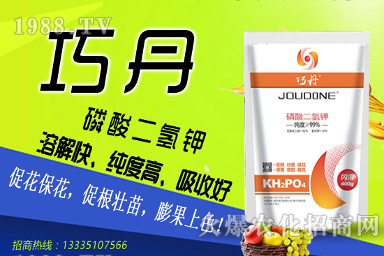 茄子需肥特性有哪些，夏季茄子高產(chǎn)管理技巧！