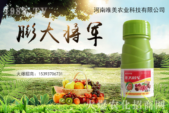 果實膨果慢、果實小怎么解決？果實膨果肥的選擇有哪些？