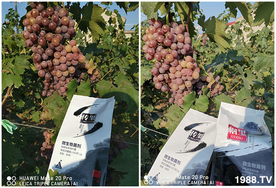 好產(chǎn)品好作用，“一璽生物”微生物菌劑“幗璽”客戶真實(shí)反饋！