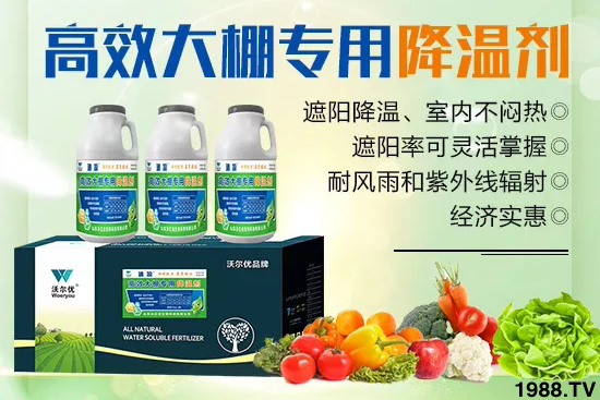 高溫對(duì)黃瓜有什么危害？大棚黃瓜降溫措施怎么做？