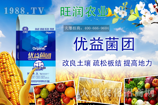 �����ЙC(j��)����ʲô���������ЙC(j��)�ʵă�(y��u)�����c�������ϵą^(q��)�e��