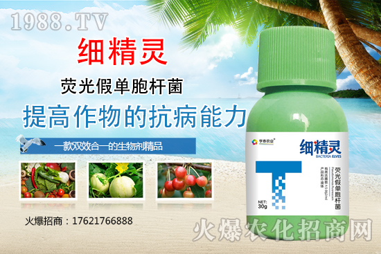 比利時(shí)亨泰怎么樣？比利時(shí)亨泰主要產(chǎn)品有哪些？