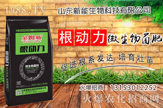 作物生根用什么肥？使用“微生物菌肥”有什么優(yōu)勢？