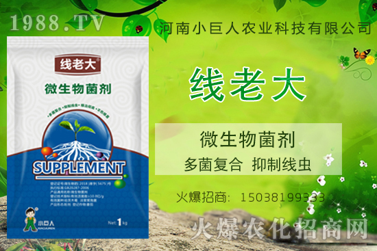 ���Y(ji��)���xզ���������Y(ji��)���x����-�����ϴ󡱶����(f��)�������ƾ��x��