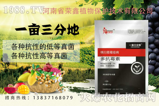 白粉、繡病、霜霉病害真難打？防治藥劑有哪些？殺菌產(chǎn)品匯總！