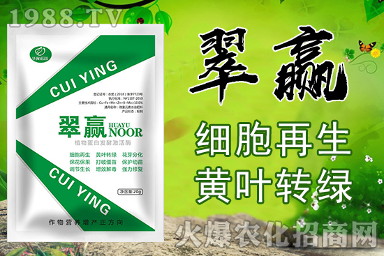 蘋(píng)果病毒病防治