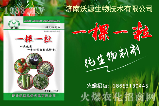 蚜蟲、白粉虱、薊馬怎么防?沃源生物“一棵一粒”殺除蟲卵,藥效!