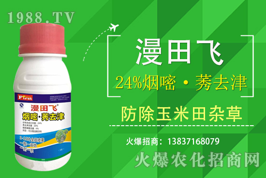 24%煙嘧·莠去津除草效果好嗎?24%煙嘧·莠去津有什么特點(diǎn)?