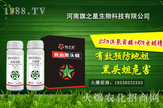 河南旗之星怎么樣？河南旗之星殺蛆產(chǎn)品有哪些？