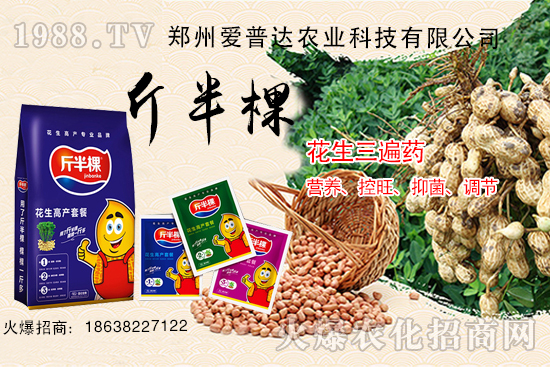 花生三遍藥什么時期使用?花生三遍藥有哪些作用?