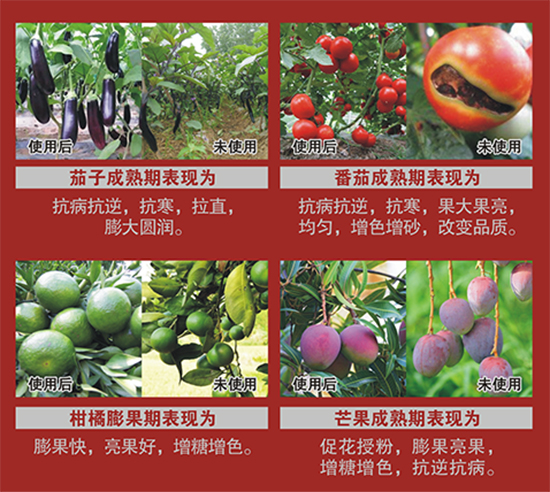 客戶(hù)反饋圖