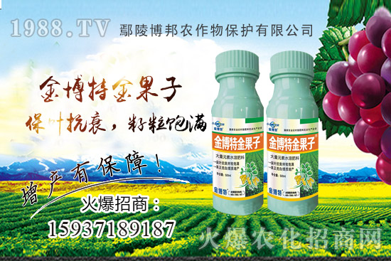 花生早衰減產(chǎn)嚴(yán)重該咋辦？花生早衰原因，種植戶如何避免？