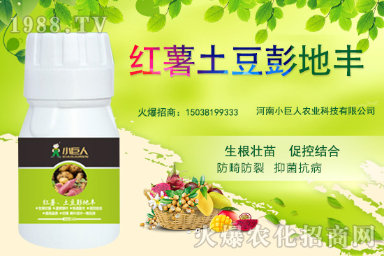 河南小巨人怎么樣？公司有什么優(yōu)勢？主推產(chǎn)品有哪些？