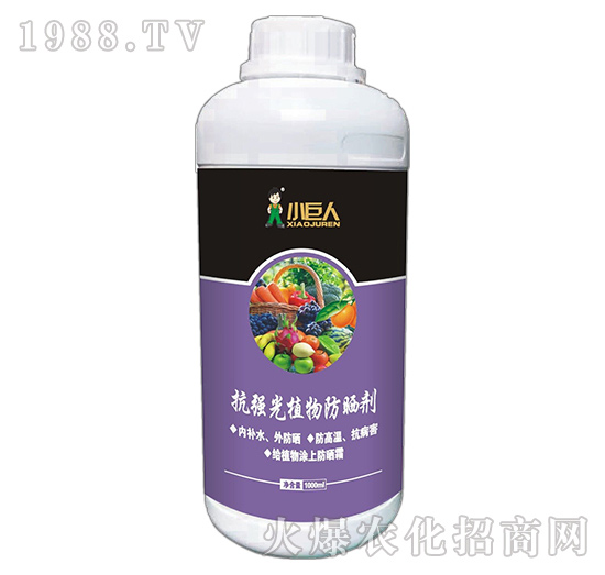 河南小巨人怎么樣？公司有什么優(yōu)勢？主推產(chǎn)品有哪些？