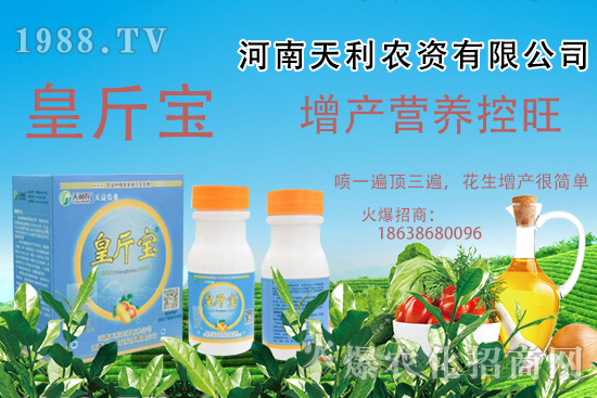  花生施肥常見問題有哪些？花生需肥規(guī)律及施肥方案講解！