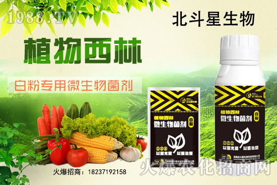 微生物菌劑為什么能防治白粉病？白粉專用微生物菌劑有什么特點(diǎn)？