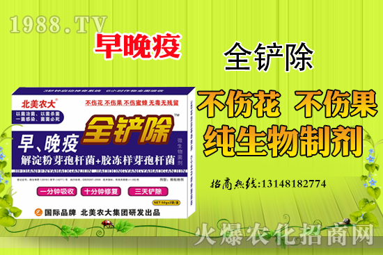 早晚疫危害嚴重，早晚疫防治措施有哪些？