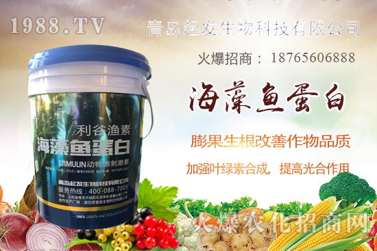 蔬菜定植如何緩苗快？蔬菜生根誤區(qū)有哪些？蔬菜生根壯苗肥推薦！