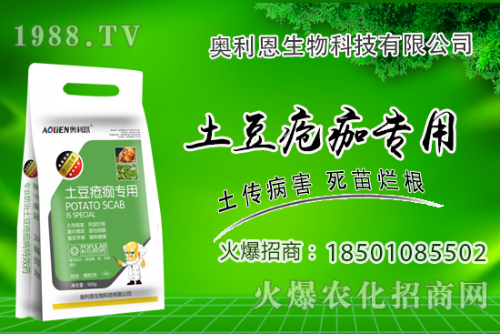 土豆瘡痂病什么癥狀？為什么難防治？土豆瘡痂病防治措施！
