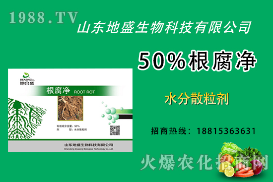 根腐病危害重，如何做好根腐病的防治？這樣做50%根腐凈！