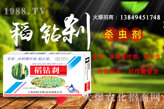 水稻鉆心蟲(chóng)抗性嚴(yán)重,該如何防治? “稻鉆剎”教您如何消滅!