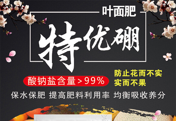 特優(yōu)硼-芽滿花-愛農(nóng)斯達(dá)_01