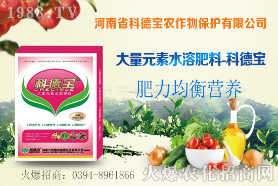 玉米空稈危害大，什么原因造成的？玉米空稈防控措施！