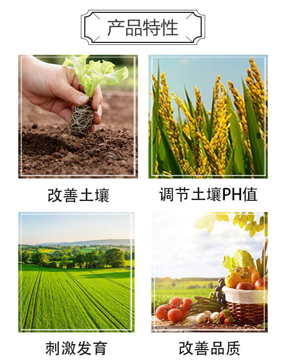 免耕復(fù)合肥15-10-15-唯沃-雅光農(nóng)業(yè)_03