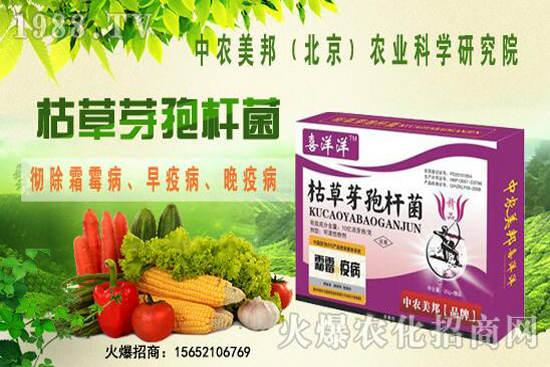 枯草芽孢桿菌治根腐病嗎，防治哪些土傳病害？防治對(duì)象有哪些？