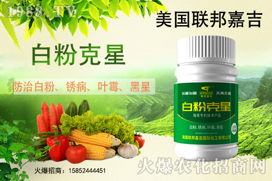 �׷۲����݁��u������(f��)�l(f��)������β���ô������׷۲������]��