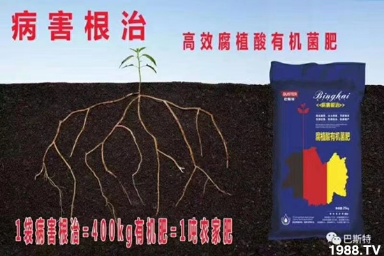     如何讓種植變得更輕松？一個套餐，全面配方，巴斯特大姜營養(yǎng)套餐方案！