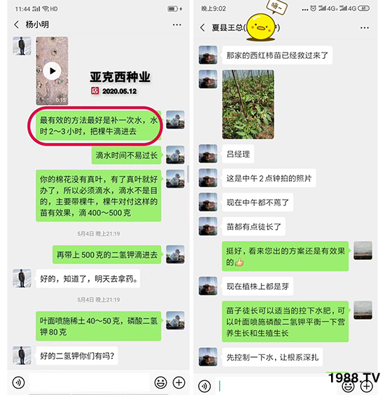     如何讓種植變得更輕松？一個套餐，全面配方，巴斯特大姜營養(yǎng)套餐方案！