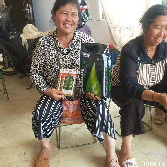     如何讓種植變得更輕松？一個套餐，全面配方，巴斯特大姜營養(yǎng)套餐方案！