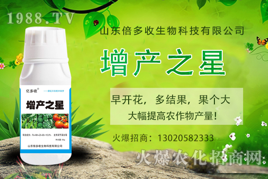 茄子需肥規(guī)律有哪些，茄子用什么肥料？茄子施肥注意事項！