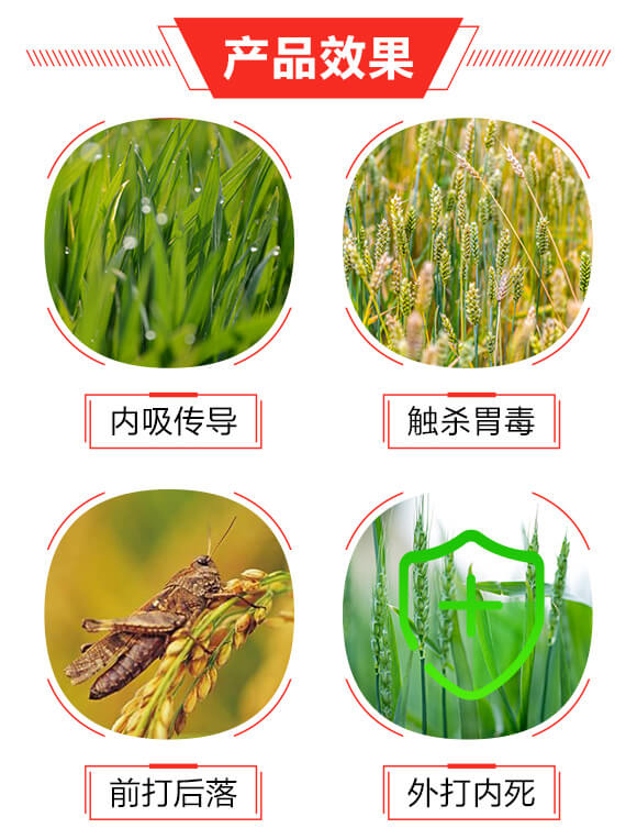 20%溴氰·吡蟲啉（200ml）-巧喜-富利達_03